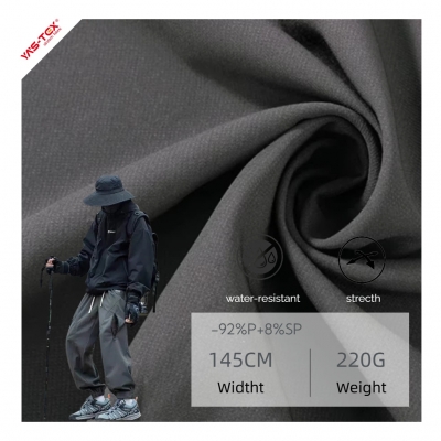 High Quality 100D Polyester ...